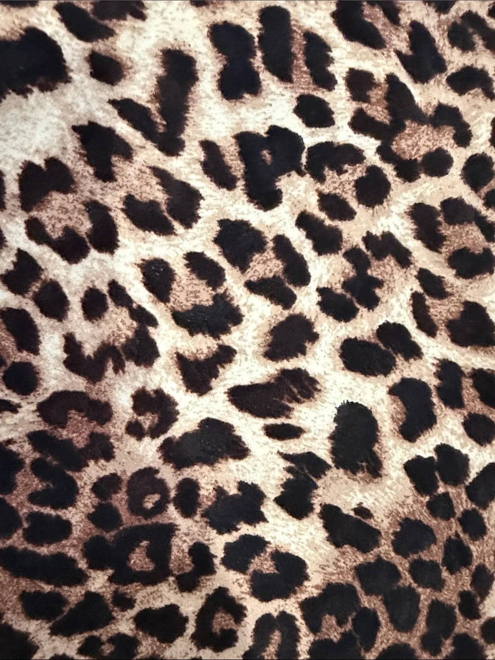 rae mode flowing leopard